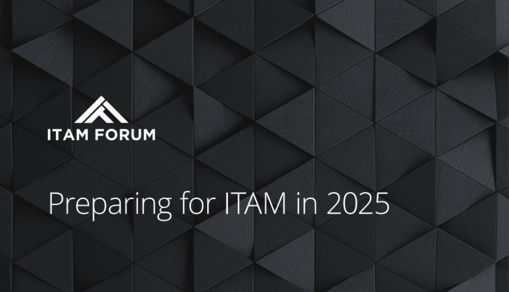 Preparing for ITAM in 2025 (Members Only)
